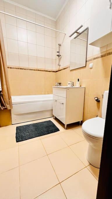 Otopeni Airport Apartment With Private Garden Luaran gambar